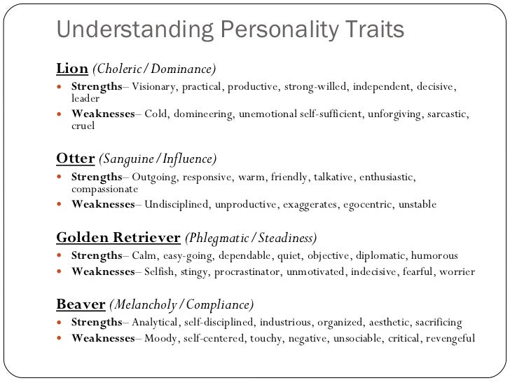 personality test otter golden retriever and beaver beaver otter golden retriever test the best in 2018 personality test otter golden retriever and beaver beaver otter golden retriever test the best in 2018